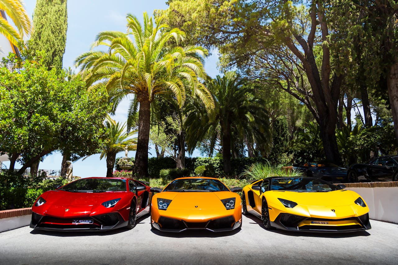 Three vibrant Lamborghinis parked under palm trees on a sunny day, exuding luxury and style.